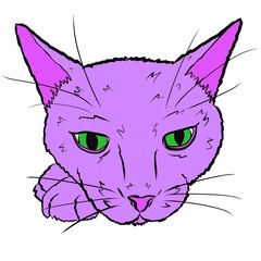 Cartoon Illustration of a Cat