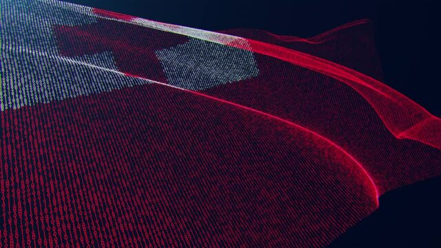 3d render. Tonga digital flag with binary code texture flies in the wind. Seamless loop.