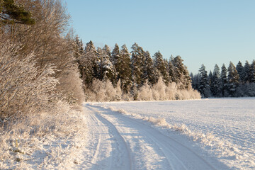 Obraz premium A beautiful winter day landscape of a gravel road near the forest. Snow covered scenery of Northern Europe.