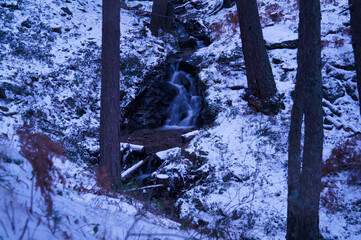 krajobraz góry drzewa natura śnieg las  © Piotr