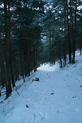 krajobraz g&oacute;ry drzewa natura śnieg las 