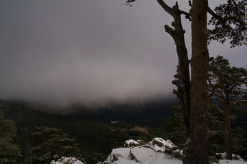 krajobraz góry drzewa natura śnieg las  - obrazy, fototapety, plakaty
