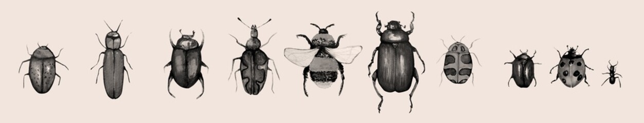 Watercolor seamless pattern of bee. 