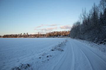 Obraz premium A beautiful winter day landscape of a gravel road near the forest. Snow covered scenery of Northern Europe.