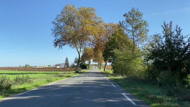 Route de campagne &agrave; Saint-&Eacute;milion en automne, Gironde