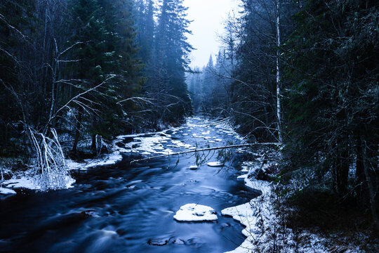 vinter stream in the forest