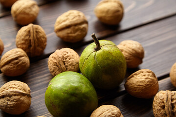 Dry and unripe walnuts with green pericarp on wooden background