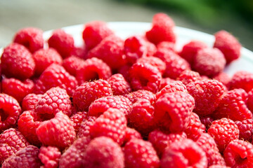 Fresh raspberries, heap of red ripe summer berries