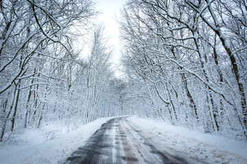 Winter road in the snowy forest