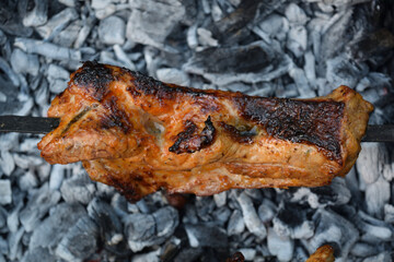 grilled pork shashlik on skewer