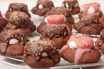 cookies with sprinkles, brown and pink chocolate on white marshmellow. Cookies on support for drying cakes.
