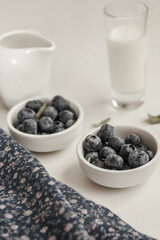 Fototapeta na wymiar Fresh blueberries, glass of milk and milk jug on white background. Morning concept