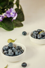 Bowls of fresh blueberries and viola on white background