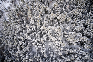 Flying over winter wonderland with frozen creeks and snow clothed trees. Shot with a drone in Hallingdal, Gol.  © SteinOve