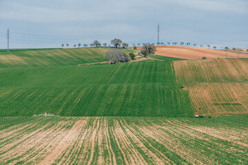Agro field in Cuenca with green and brown colors Spain