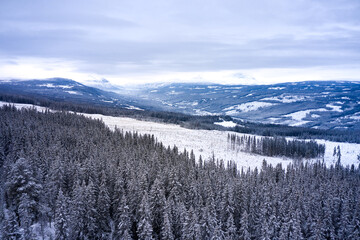 Flying over winter wonderland with frozen creeks and snow clothed trees. Shot with a drone in Hallingdal, Gol. 