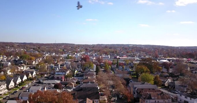 Drone Over Staten Island NY Birds Flying Passed