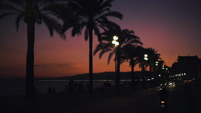 Palms and car traffic on the road in Nice, France. Silhouette of tropical plants in southern Europe. Romantic background. Red purple sunset. Clip for social media or travel blog