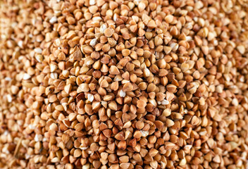 buckwheat. fresh buckwheat. dry buckwheat background. buckwheat texture