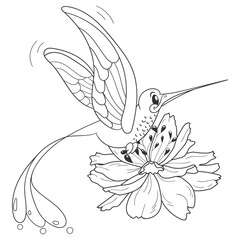 Coloring book page for kids with cute cartoon hummingbird and tropical flower. Vector illustration.