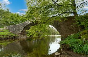 Fototapeta na wymiar Ivelet Bridge spanning the River Swale in Springtime, with trees bursting into leaf and blue sky. Ivelet is a small hamlet in the Yorkshire Dales, England, UK. Horizontal, Space for copy.