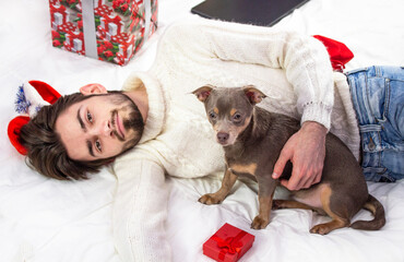 Merry Christmas and Happy New Year. The guy with the beard is handsome with a Chihuahua dog. Christmas presents around the guy. christmas decoration background. copyspace