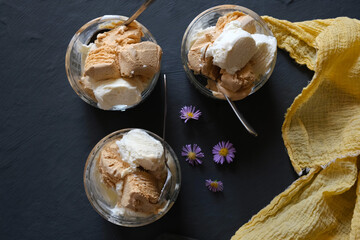 Obraz na płótnie Canvas Ice cream and crème brлеlée in ice-cream bowls, on a dark slate background. 