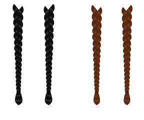 Women's braids on a white background. An object. Vector illustration.