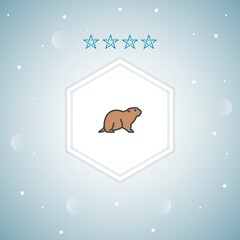groundhog vector icons modern