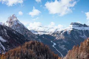 landscape with mountains, fir trees and clouds