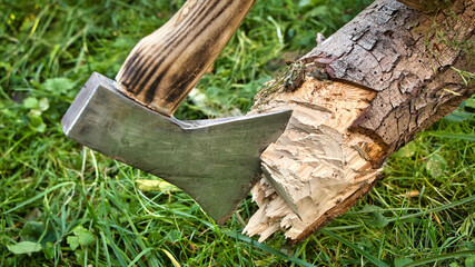 Baumf&auml;llen mit der guten alten Axt - F&uuml;r die Gartenarbeit mit Holz braucht man gutes Werkzeug  