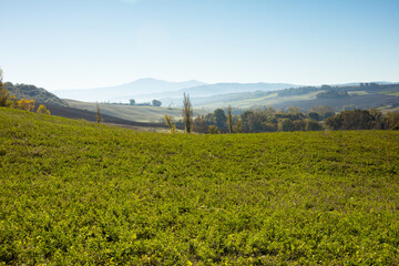 landscape with agricultural field