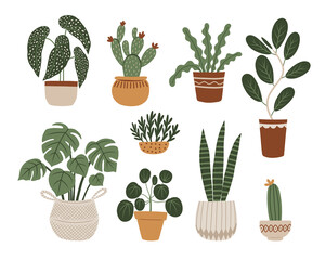 Home plants vector set. Hand drawn illustration in boho style. Vector clipart.