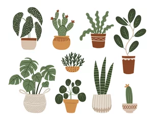 Glasschilderij Cactus in pot Huis planten vector set. Hand getekende illustratie in boho-stijl. Vectorclipart.