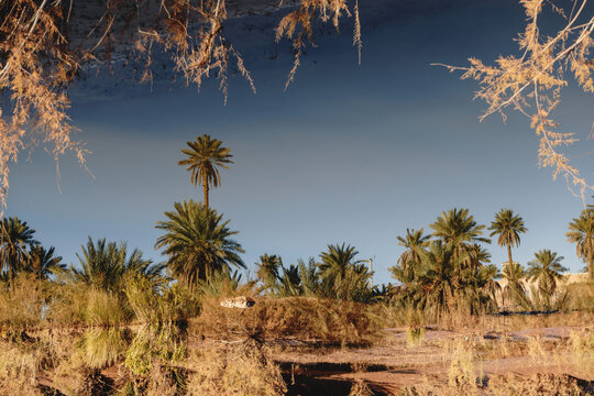 Taghit - Algeria 
