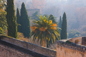 Alhambra, UNESCO World Heritage Site. Granada City. Andalusia, Southern Spain Europe