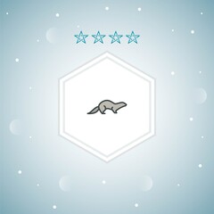 mink vector icons moderns