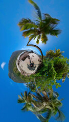 tropical island with palm trees