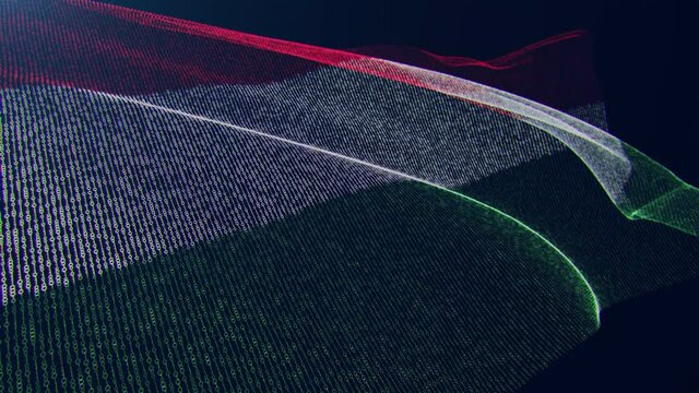 3d render. Hungary digital flag with binary code texture flies in the wind. Seamless loop.