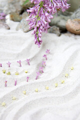 Obraz na płótnie Canvas flower on the sand