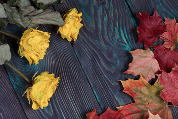 Naklejka na ściany i meble A bouquet of dried yellow roses. Dried autumn leaves. On pine boards.