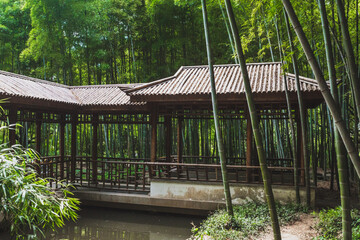 Traditional house in bamboo forest on Tiger Hill (Huqiu), Suzhou, Jiangsu, China