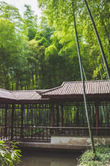 Traditional house in bamboo forest on Tiger Hill (Huqiu), Suzhou, Jiangsu, China