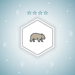 wombat vector icons modern