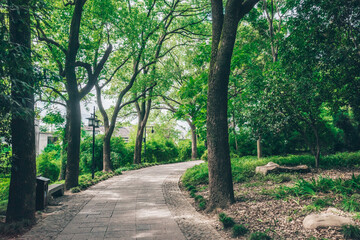 Path between trees on Tiger Hill (Huqiu), Suzhou, Jiangsu, China