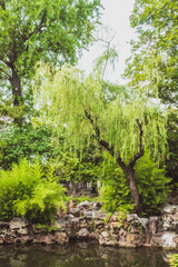 Trees by water at Lingering Garden Scenic Area, Suzhou, Jiangsu, China