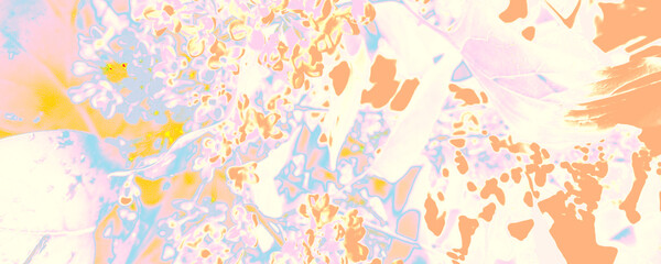 Fototapeta na wymiar Orange Rose Decoration. Pastel Floral Background. Blue Silk Backdrop. Bright Luxury Decoration. White Summer Decoration. Pink Multicolor Illustration. Pastel Abstract Decor.