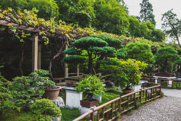 Fototapeta na wymiar Path by plants at Lingering Garden Scenic Area, Suzhou, Jiangsu, China