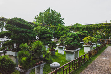 Path by plants at Lingering Garden Scenic Area, Suzhou, Jiangsu, China