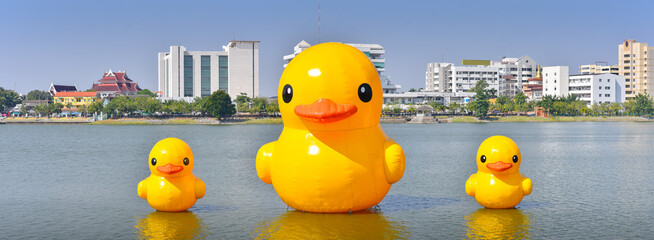 three Giant yellow rubber ducks in the lake of Udon thani province, Thailand. panorama size